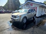 Used 2010 Ford Escape XLT image 4