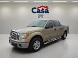 Used 2011 Ford F150 XLT w/ XLT Convenience Pkg image 6