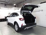 Used 2024 Ford Escape Active image 5