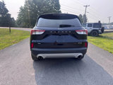 Used 2021 Ford Escape SE w/ Cold Weather Package image 4
