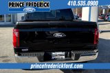 New 2025 Ford F150 XLT w/ Equipment Group 302A MID image 4