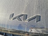 New 2025 Kia Carnival SX Prestige image 5