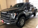 Used 2021 Ford F150 Raptor w/ Equipment Group 801A High image 2
