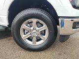 New 2025 Ford F150 XLT w/ Equipment Group 302A MID image 2