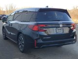 New 2025 Honda Odyssey Elite image 4