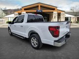 New 2025 Ford F150 XLT w/ Equipment Group 301A Standard image 4