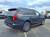 New 2025 Ford Expedition Active image 6