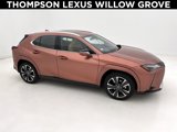 Used 2025 Lexus UX 300h AWD image 1