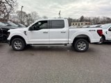New 2025 Ford F150 XLT w/ Equipment Group 301A Standard image 2