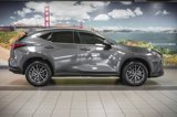Certified 2024 Lexus NX 250 FWD image 5