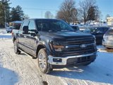 New 2025 Ford F150 XLT image 3