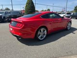 Used 2019 Ford Mustang Premium w/ Equipment Group 201A image 5