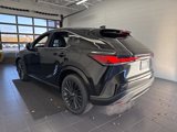 New 2025 Lexus RX 350 Premium w/ Convenience Package image 3