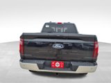 New 2025 Ford F150 XLT w/ Equipment Group 303A High image 5