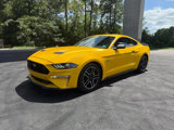 Used 2021 Ford Mustang GT w/ Equipment Group 301A image 3