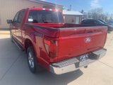 New 2025 Ford F150 XLT w/ Equipment Group 302A MID image 5
