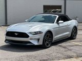Used 2019 Ford Mustang Premium image 3