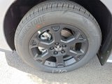 New 2025 Toyota Sienna XLE Woodland Edition image 4