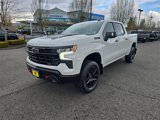 New 2025 Chevrolet Silverado 1500 LT Trail Boss w/ LT Trail Boss Premium Package image 2
