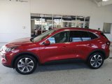 Certified 2023 Ford Escape Platinum image 5