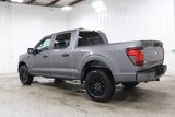 New 2025 Ford F150 STX image 5