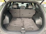 Used 2023 Kia Sportage X-Line w/ X-Line Premium Package image 5