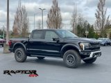 New 2025 Ford F150 Raptor image 2