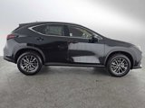 New 2025 Lexus NX 350h AWD w/ Premium Package image 2