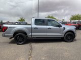 New 2025 Ford F150 STX w/ STX Black Appearance Package image 6