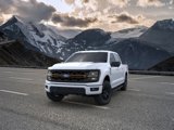 New 2025 Ford F150 Tremor image 2