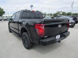 New 2025 Ford F150 XLT image 5