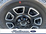New 2025 Ford F250 Platinum image 5