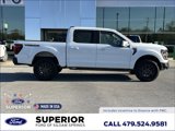 New 2025 Ford F150 Tremor image 2