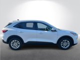 Used 2020 Ford Escape SE image 6