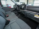 New 2025 Ford F150 XLT image 5