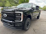 New 2025 Ford F250 Platinum image 2