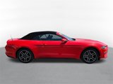 Used 2022 Ford Mustang Premium image 2