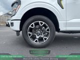 New 2025 Ford F150 STX w/ Equipment Group 200A image 5