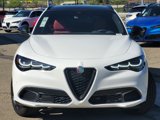 New 2024 Alfa Romeo Stelvio Veloce image 2