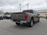 New 2025 Ford F150 XLT w/ Equipment Group 302A MID image 4