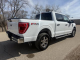 Used 2023 Ford F150 XLT w/ Equipment Group 301A Mid image 5