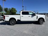 New 2025 Ford F250 Platinum image 2