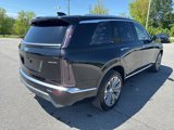 New 2026 Cadillac Vistiq Luxury image 6