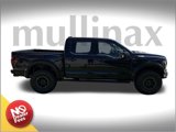 New 2025 Ford F150 Raptor image 2