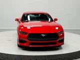 Used 2024 Ford Mustang Premium image 2