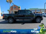 New 2025 Ford F250 Platinum image 4