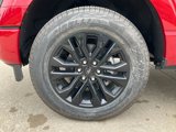 New 2025 Ford F150 XLT w/ Equipment Group 303A High image 4