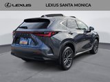 Used 2025 Lexus NX 350h AWD w/ Premium Package image 5