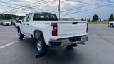 Used 2024 Chevrolet Silverado 2500 W/T w/ WT/CX Safety Package image 5
