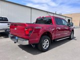 New 2025 Ford F150 XLT w/ Equipment Group 302A MID image 5